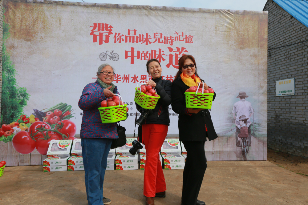 美食品鑒團(tuán)華州區(qū)蔬菜種植基地里享受采摘樂(lè)趣