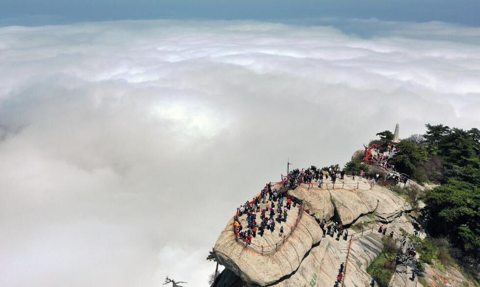 西岳華山：壯麗云海入畫來(lái)