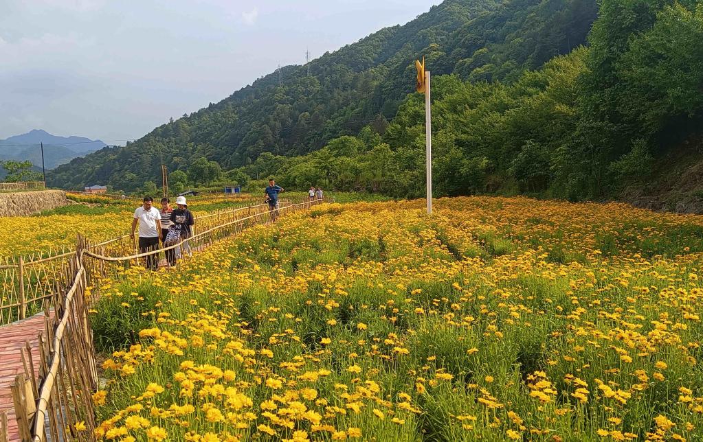 陜西佛坪：紅色山村端牢旅游“飯碗”