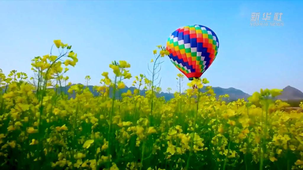 陜西：“賞花專列”開啟春之旅